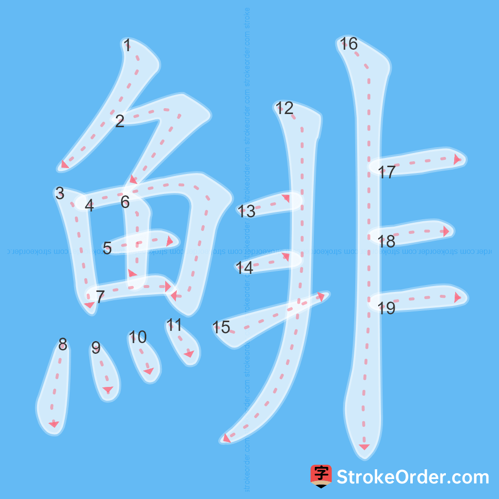 Standard stroke order for the Chinese character 鯡