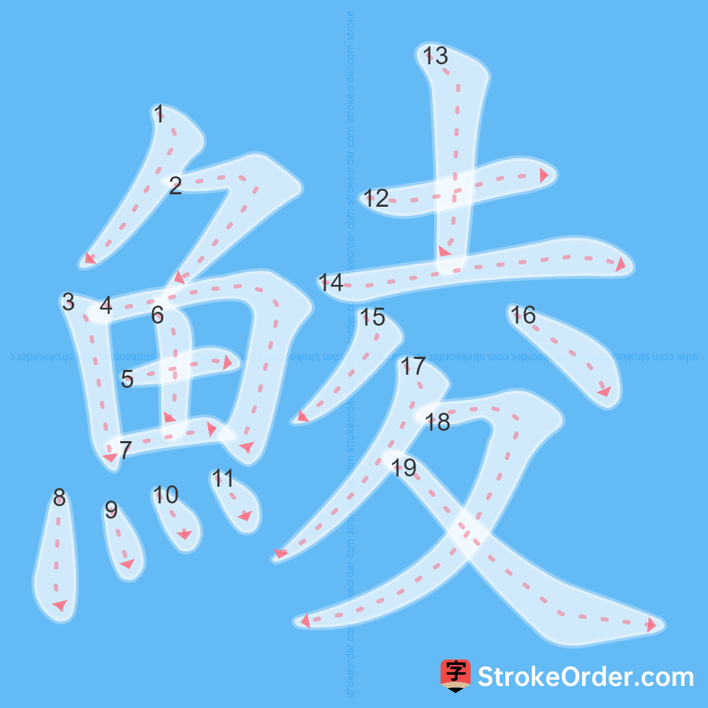 Standard stroke order for the Chinese character 鯪