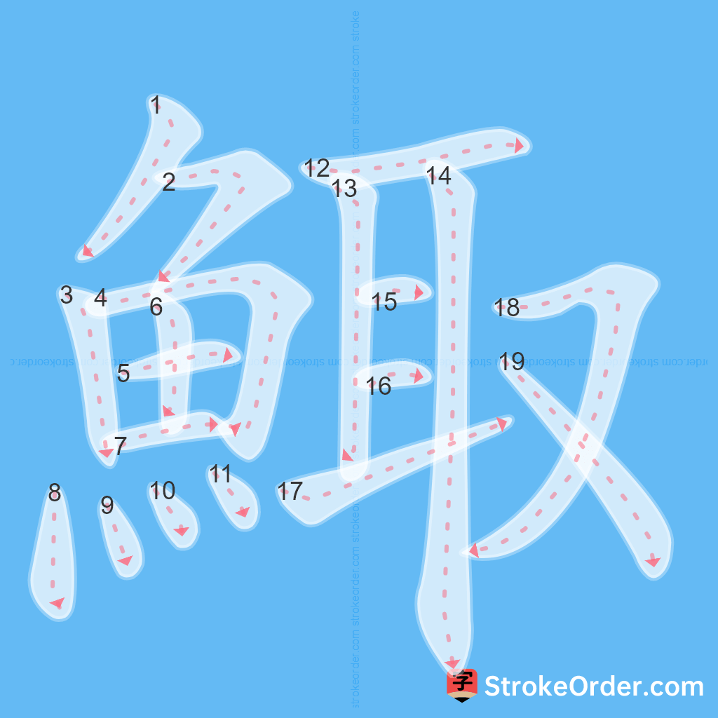 Standard stroke order for the Chinese character 鯫