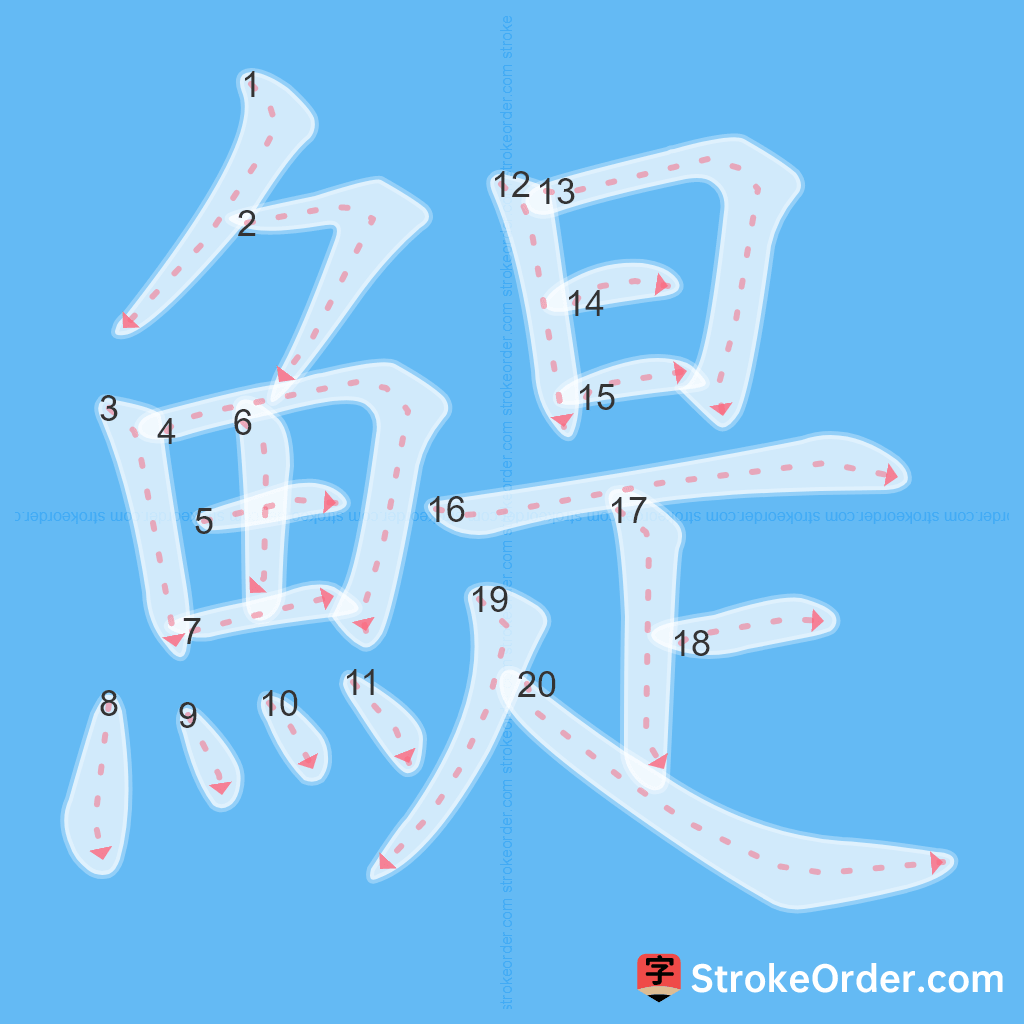 Standard stroke order for the Chinese character 鯷