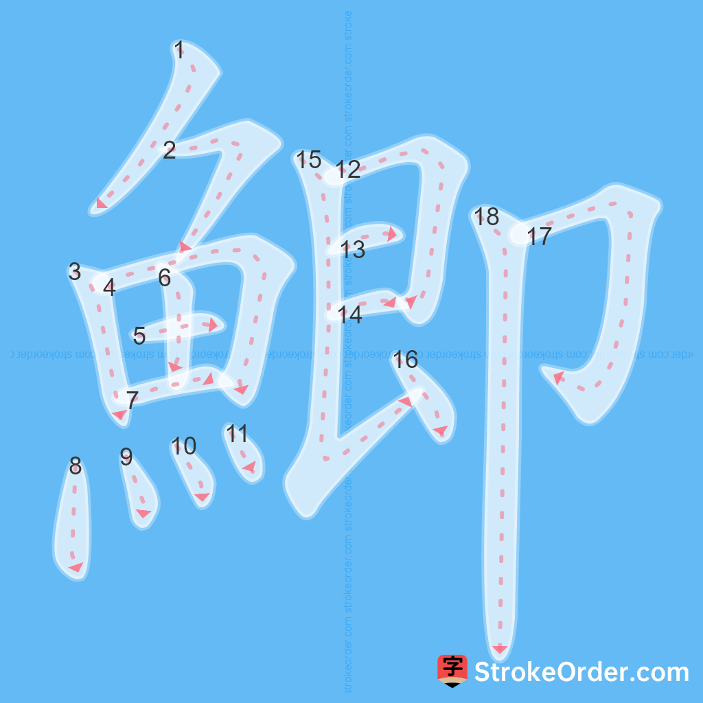 Standard stroke order for the Chinese character 鯽