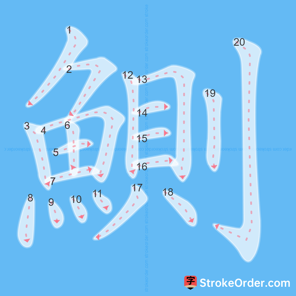 Standard stroke order for the Chinese character 鰂