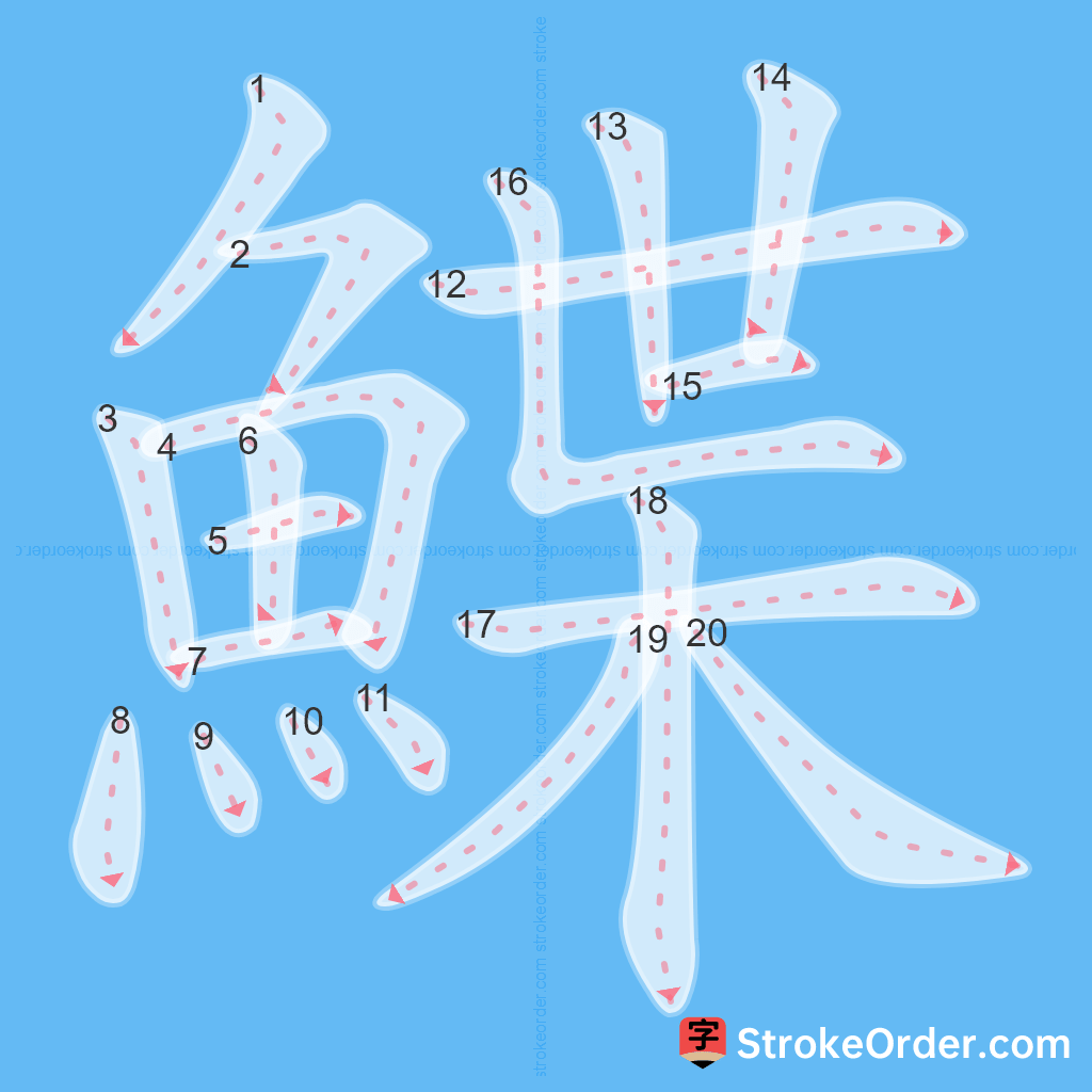 Standard stroke order for the Chinese character 鰈