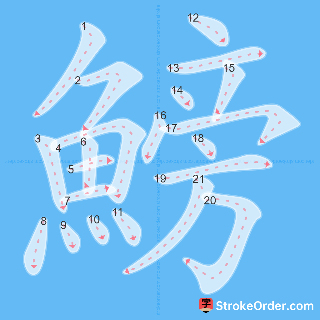 Standard stroke order for the Chinese character 鰟