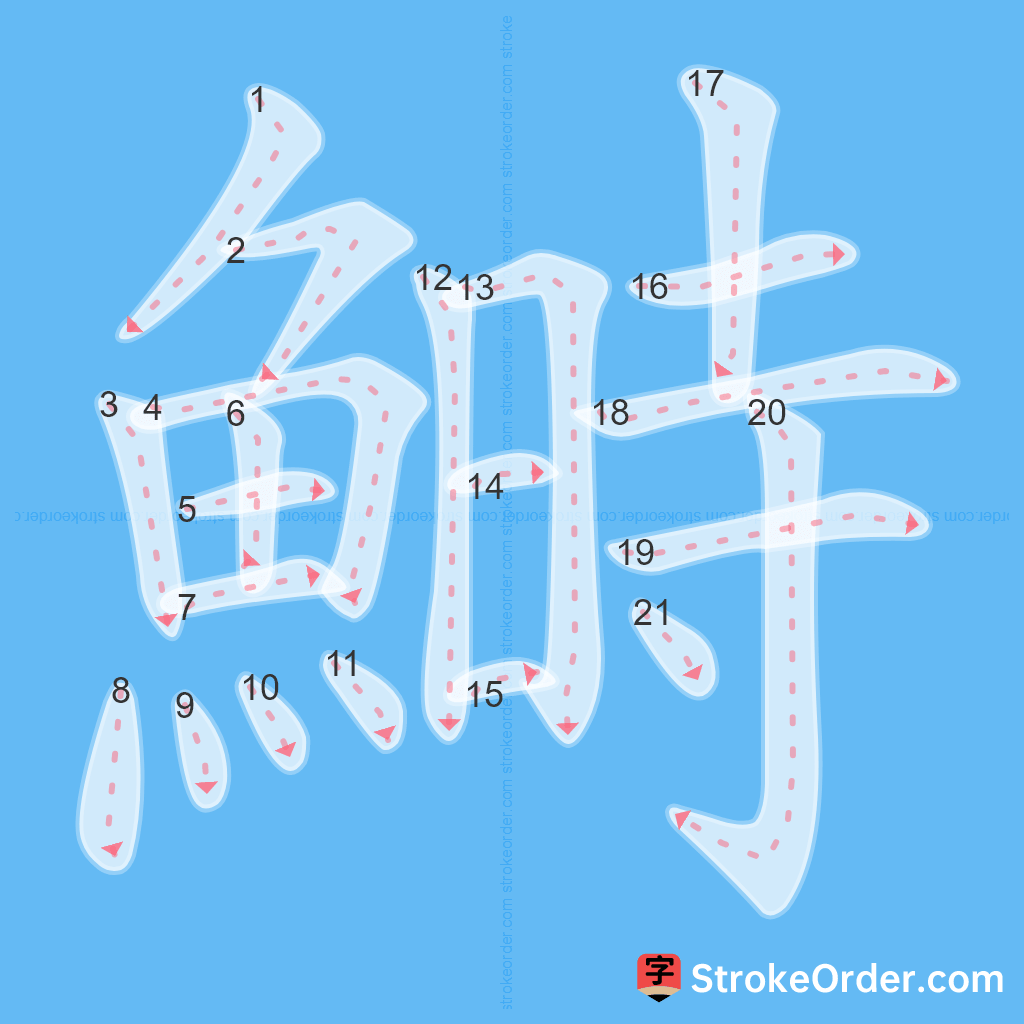 Standard stroke order for the Chinese character 鰣
