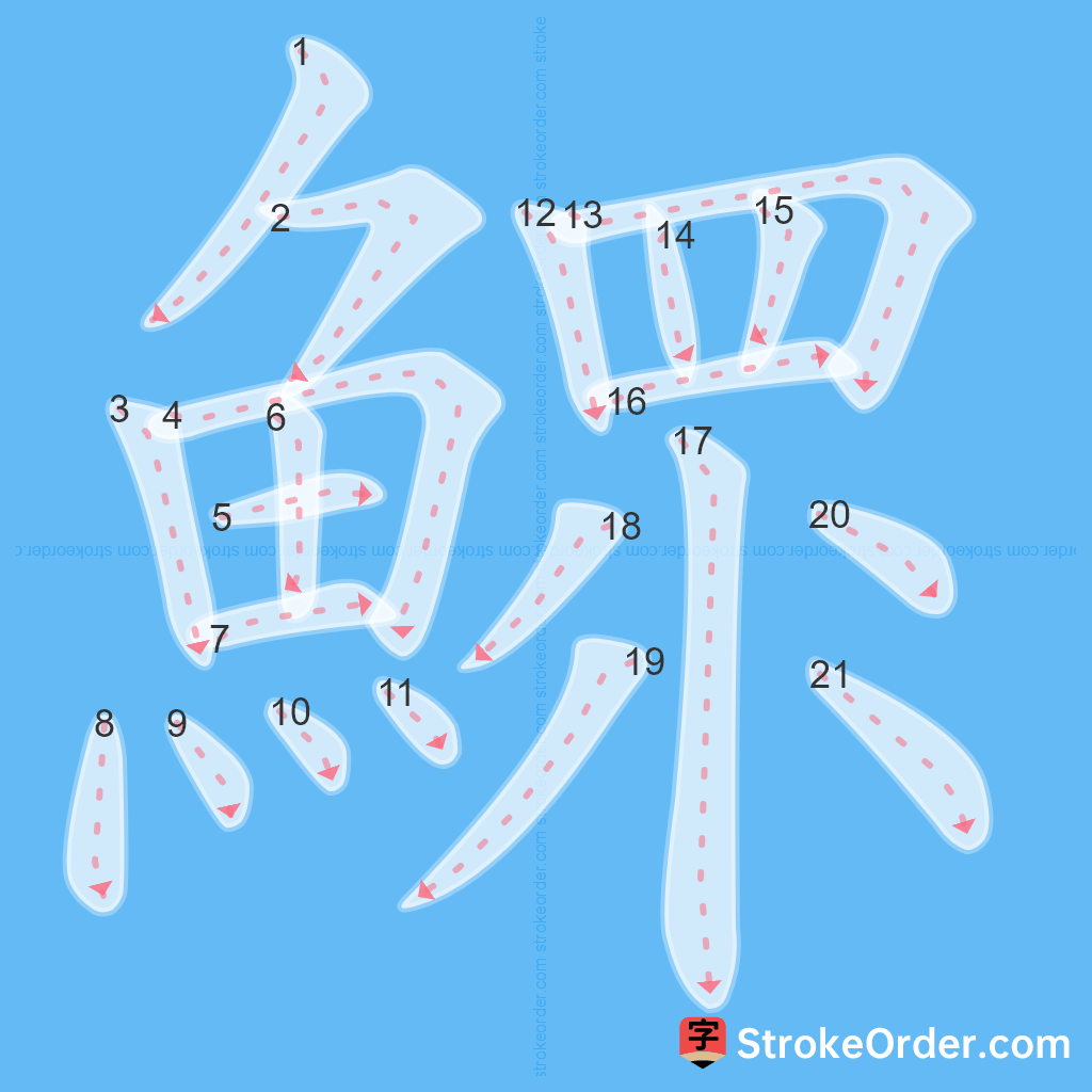 Standard stroke order for the Chinese character 鰥