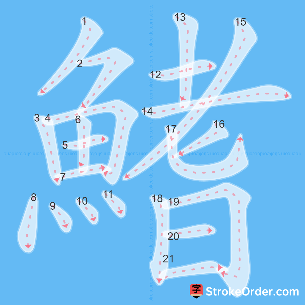 Standard stroke order for the Chinese character 鰭