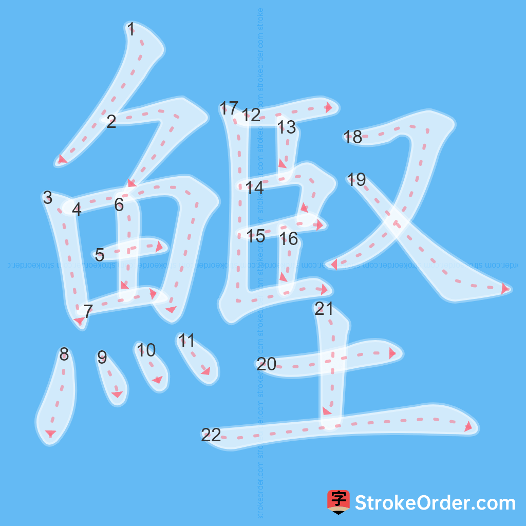 Standard stroke order for the Chinese character 鰹