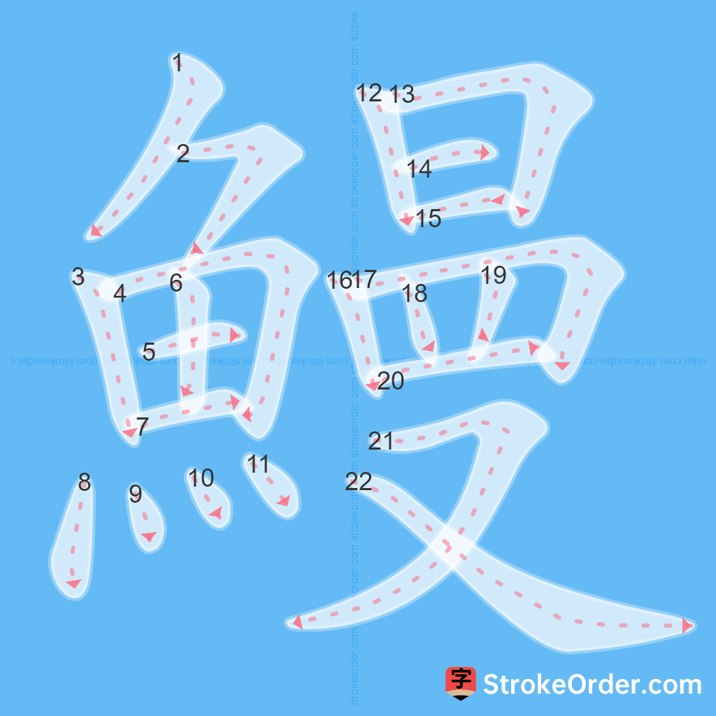 Standard stroke order for the Chinese character 鰻