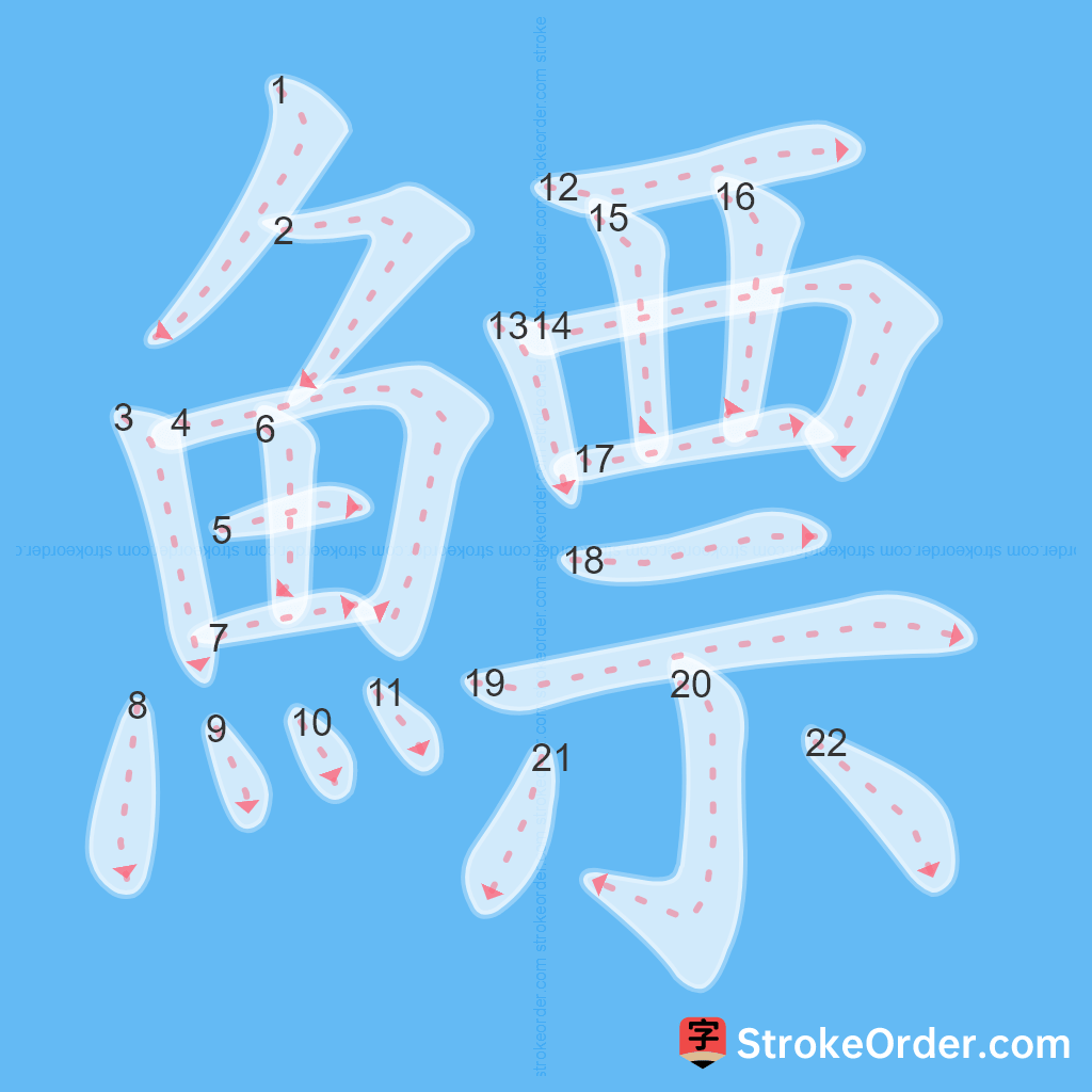 Standard stroke order for the Chinese character 鰾