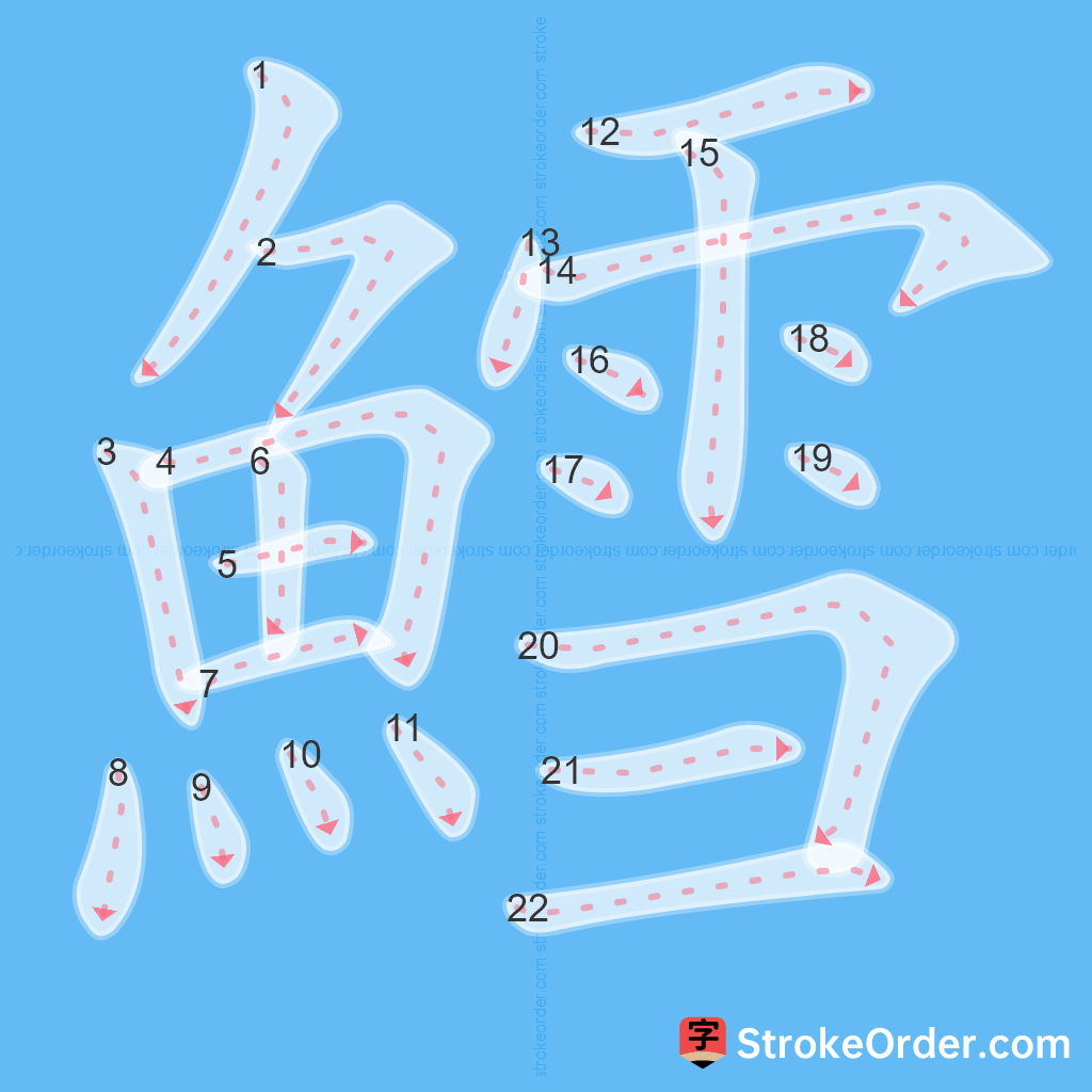 Standard stroke order for the Chinese character 鱈