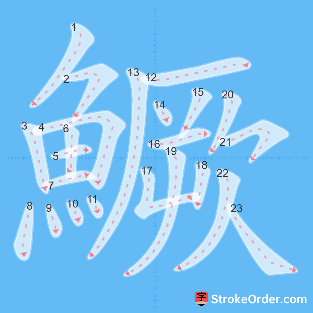 Standard stroke order for the Chinese character 鱖