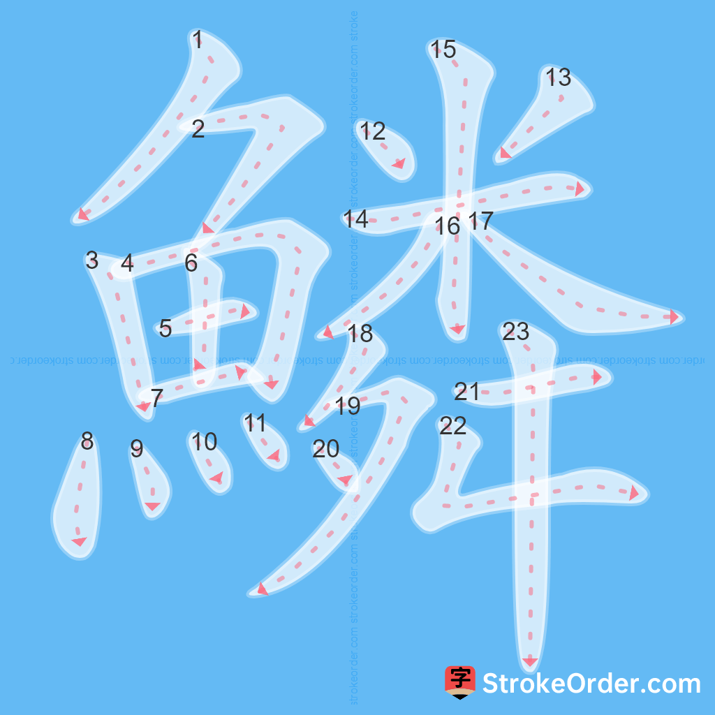 Standard stroke order for the Chinese character 鱗