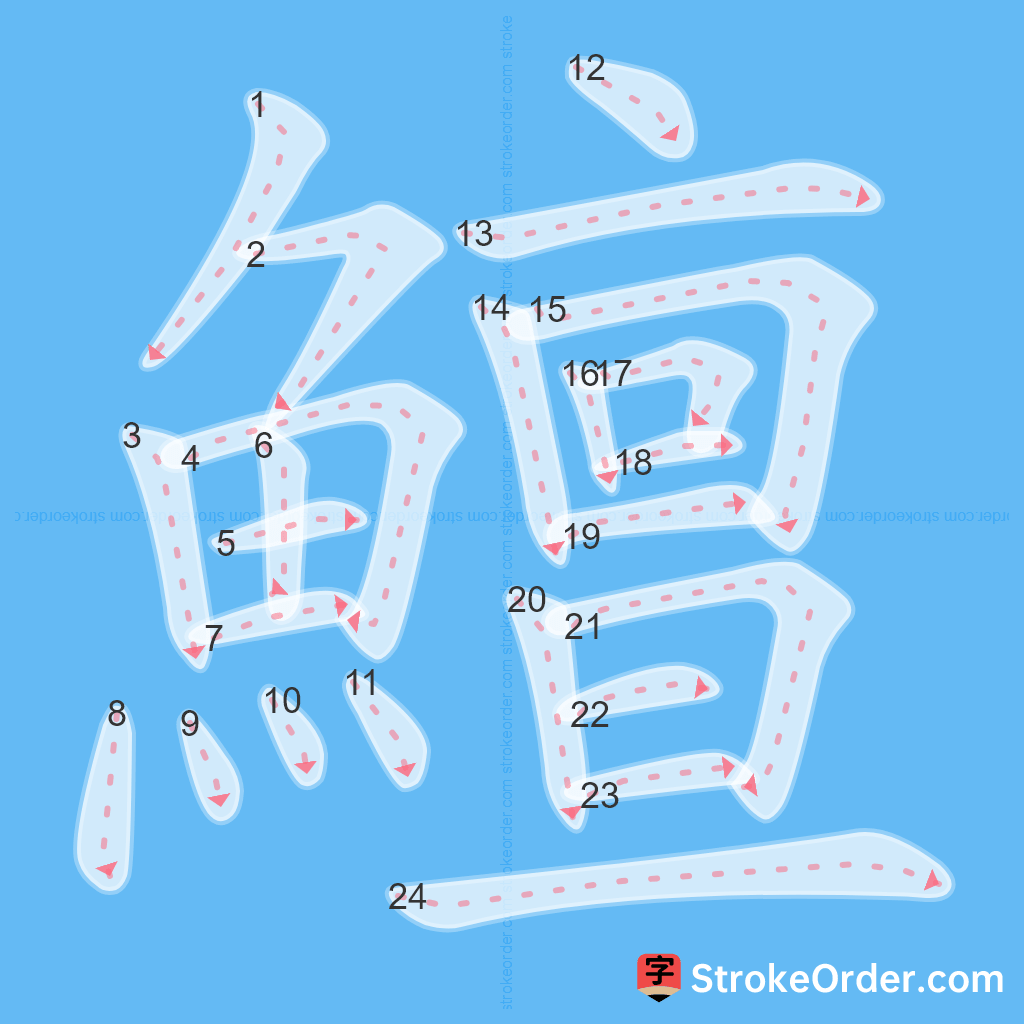 Standard stroke order for the Chinese character 鱣