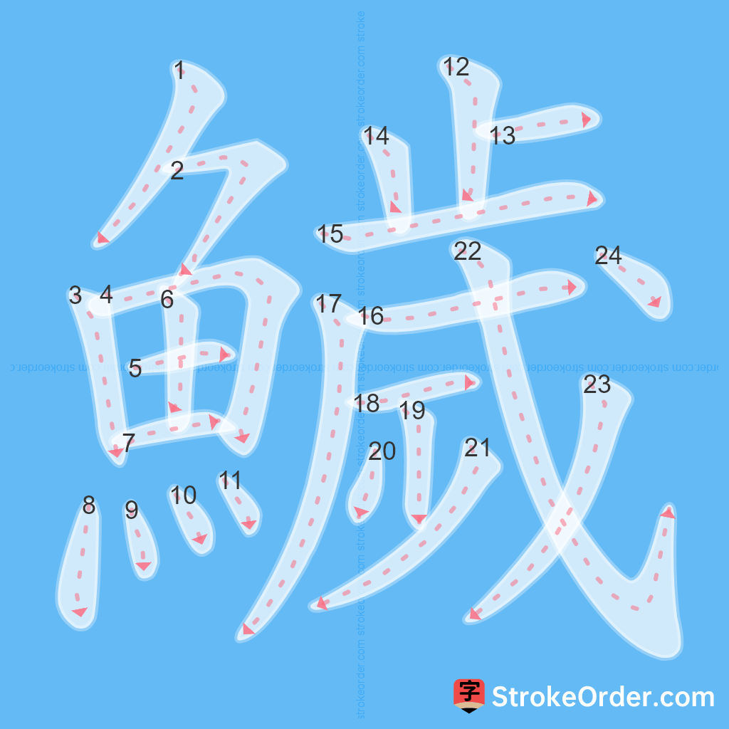 Standard stroke order for the Chinese character 鱥