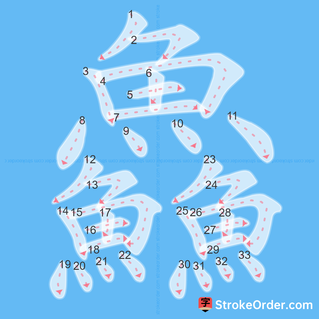 Standard stroke order for the Chinese character 鱻