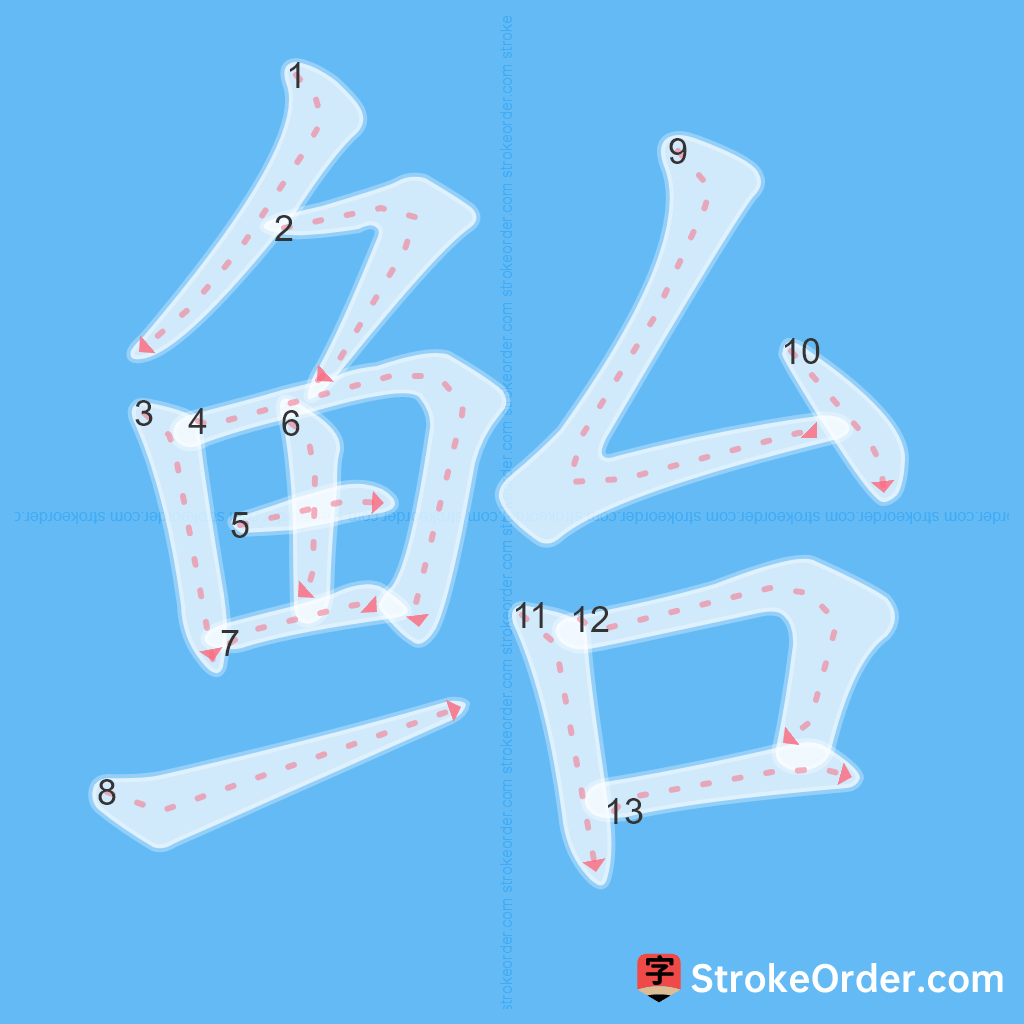 Standard stroke order for the Chinese character 鲐