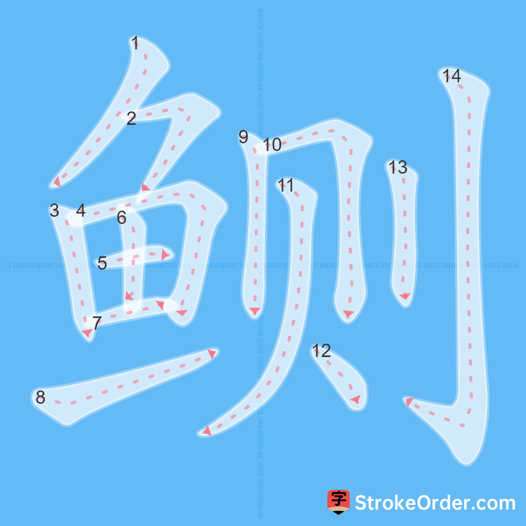Standard stroke order for the Chinese character 鲗