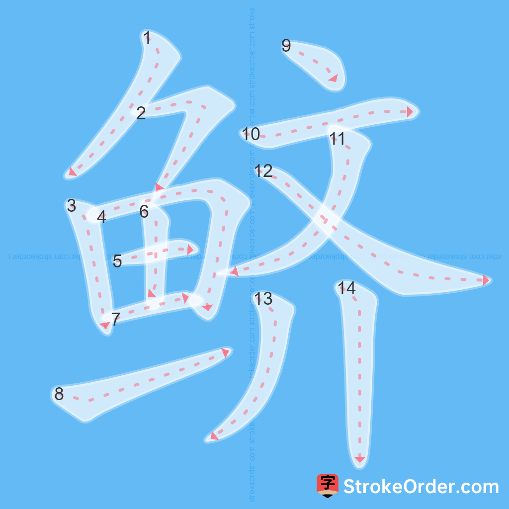 Standard stroke order for the Chinese character 鲚