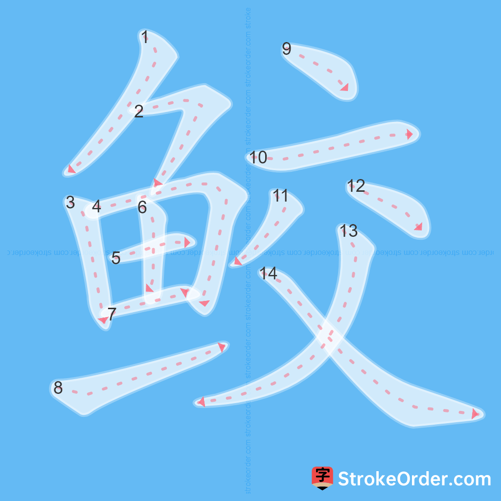 Standard stroke order for the Chinese character 鲛