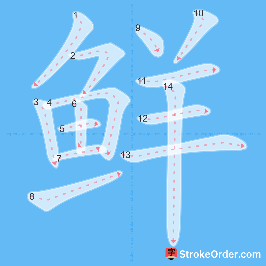 Standard stroke order for the Chinese character 鲜