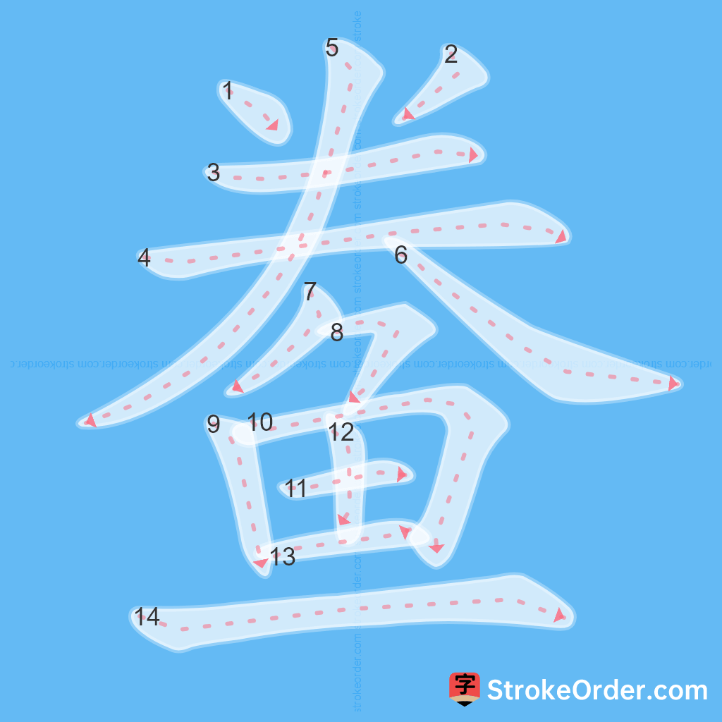 Standard stroke order for the Chinese character 鲞