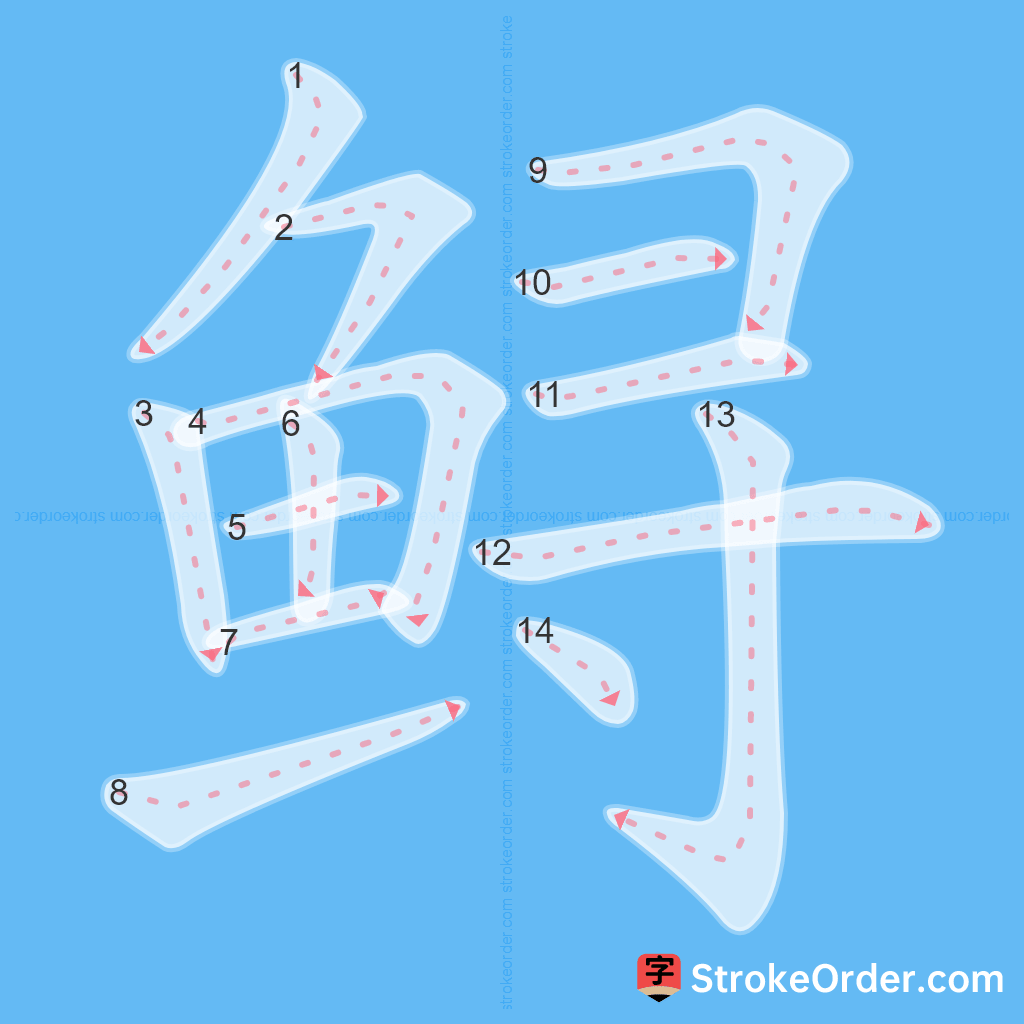 Standard stroke order for the Chinese character 鲟