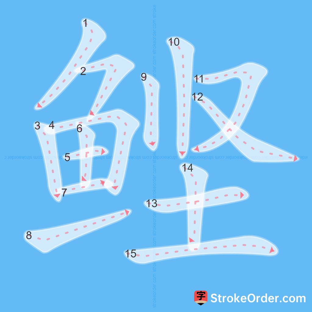 Standard stroke order for the Chinese character 鲣