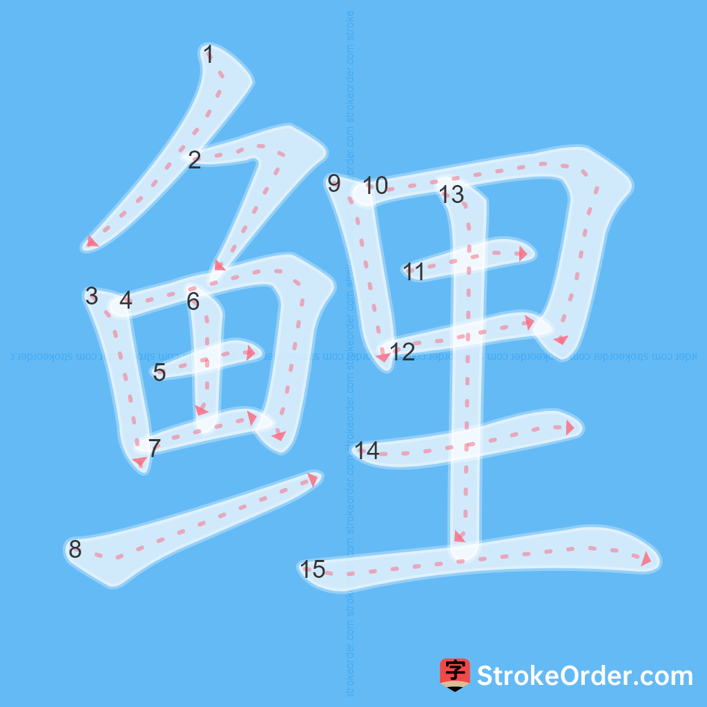 Standard stroke order for the Chinese character 鲤