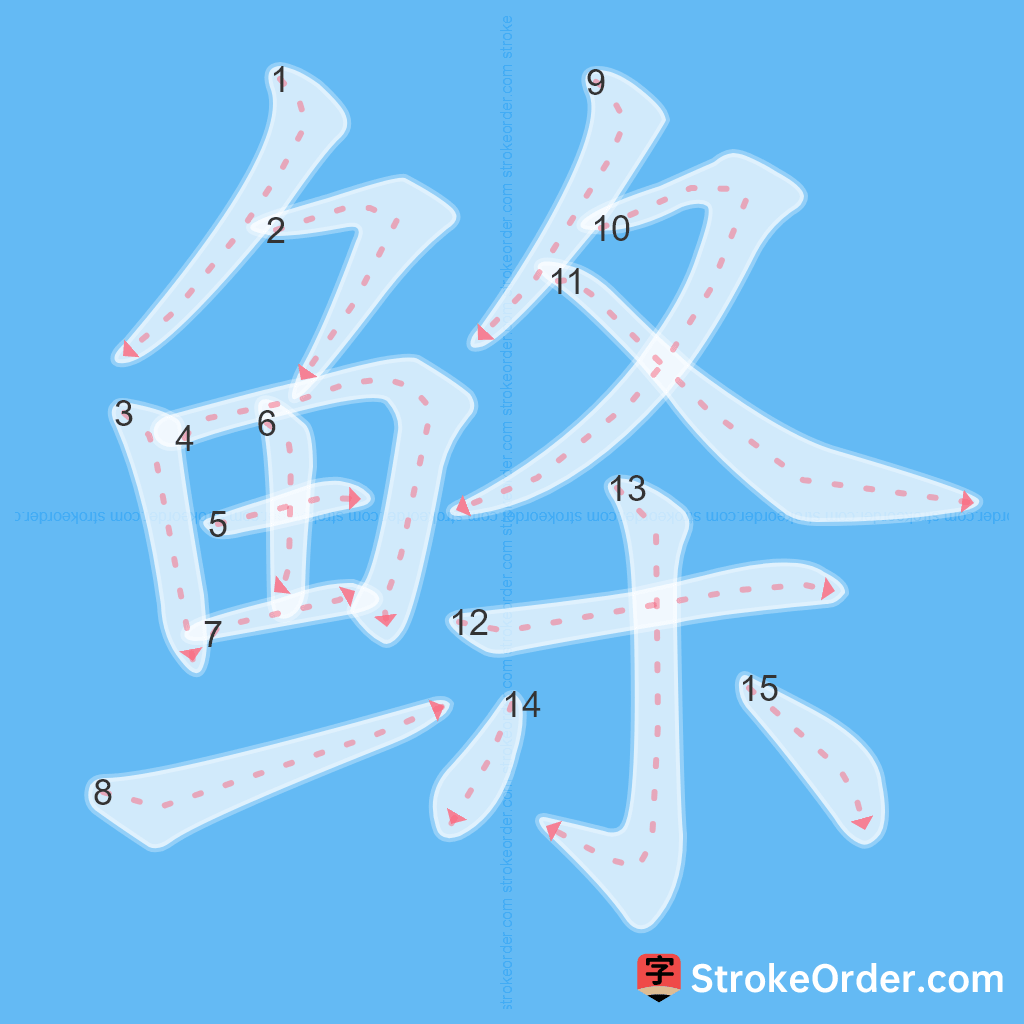 Standard stroke order for the Chinese character 鲦