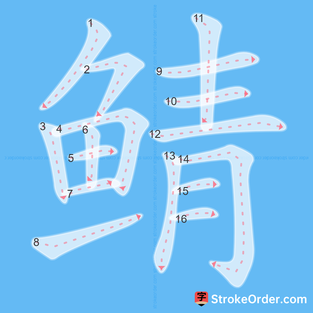Standard stroke order for the Chinese character 鲭