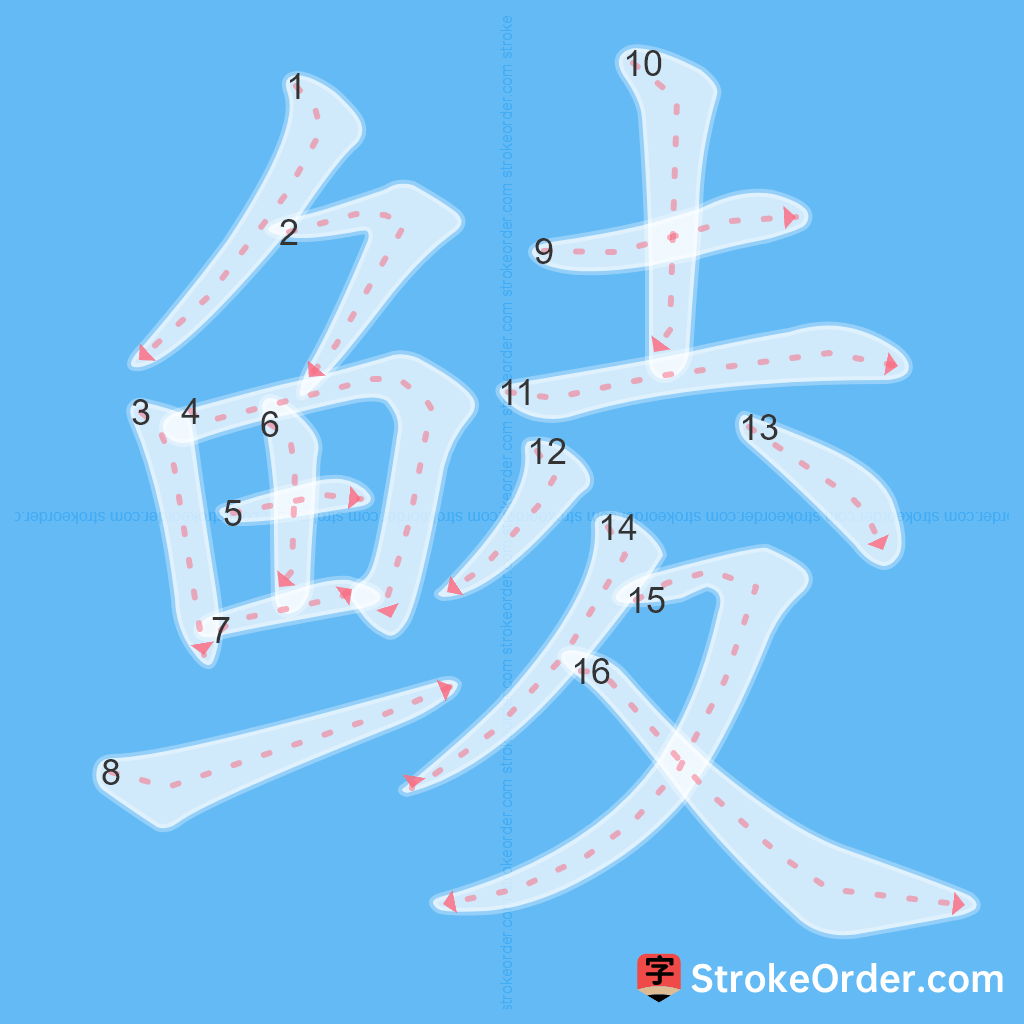 Standard stroke order for the Chinese character 鲮