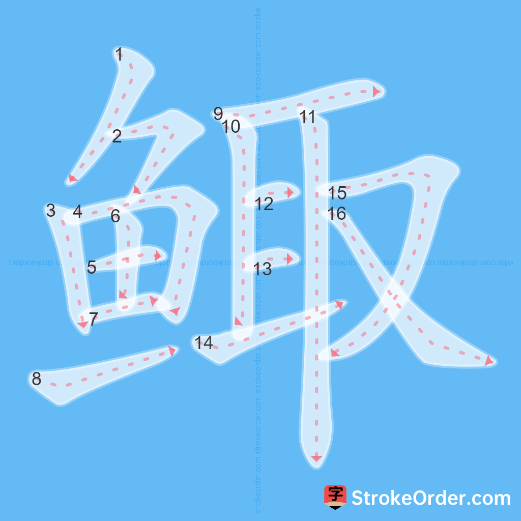 Standard stroke order for the Chinese character 鲰