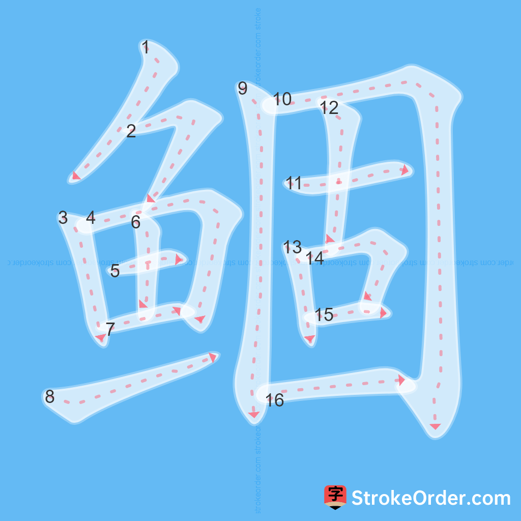 Standard stroke order for the Chinese character 鲴