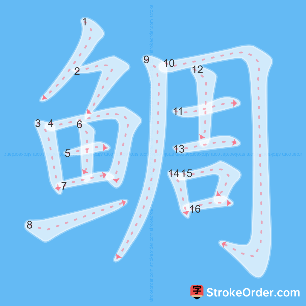 Standard stroke order for the Chinese character 鲷