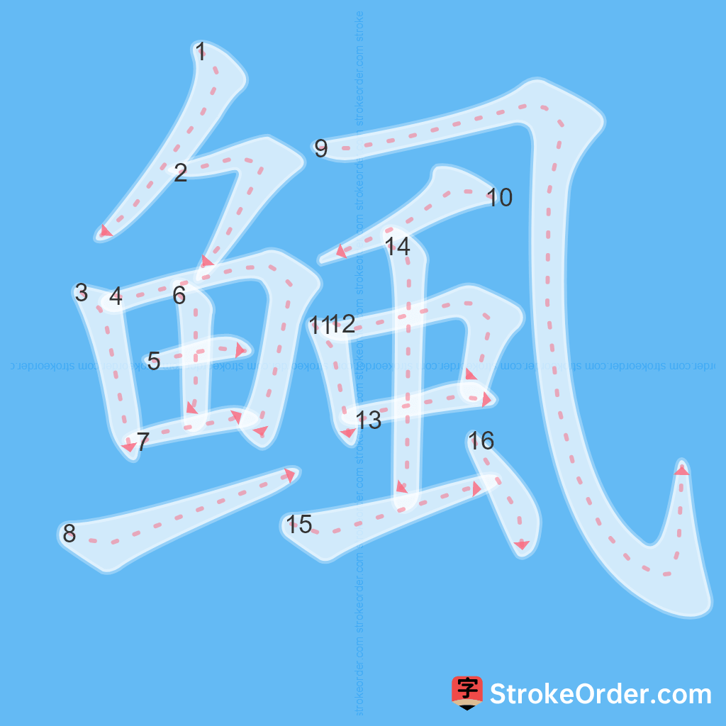 Standard stroke order for the Chinese character 鲺