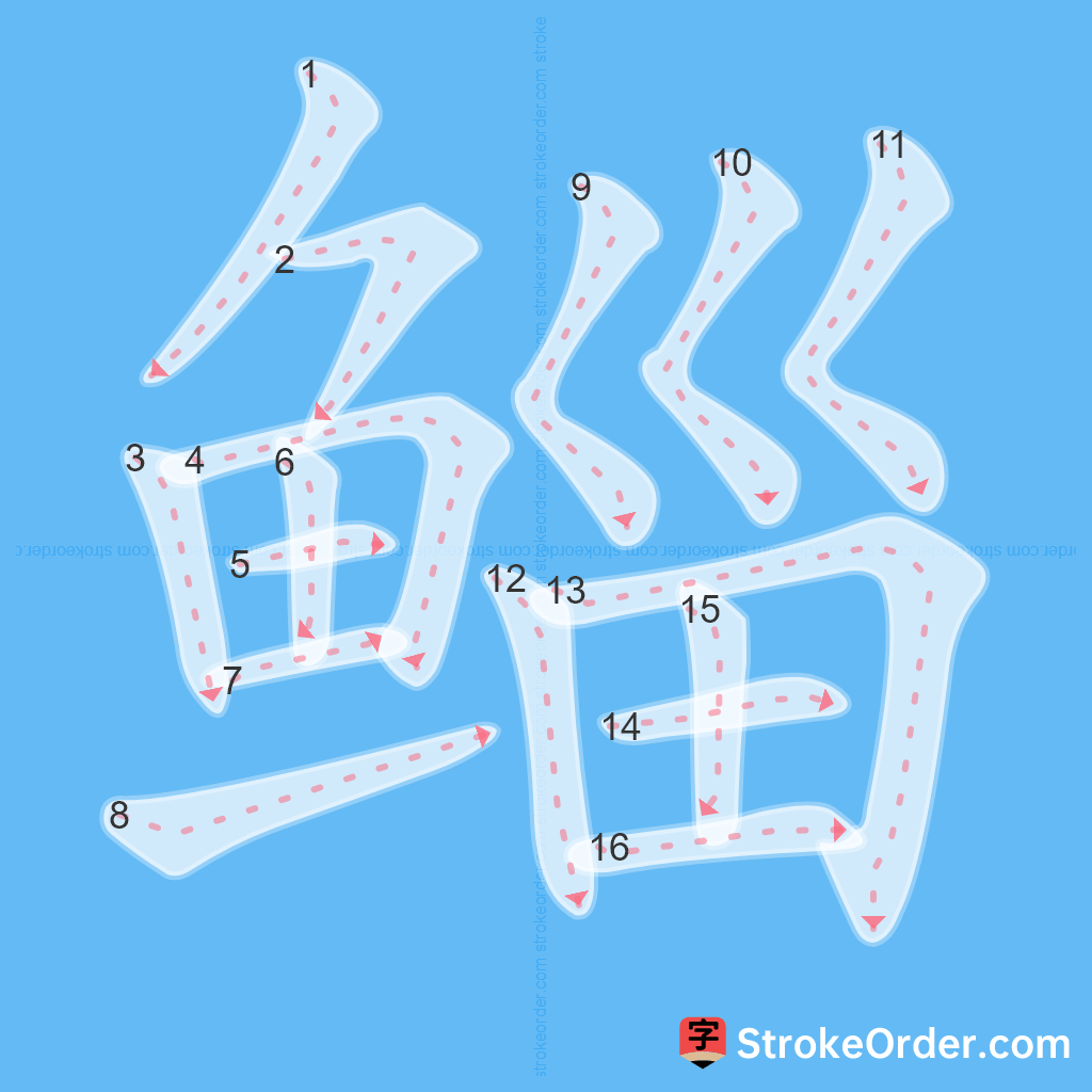 Standard stroke order for the Chinese character 鲻