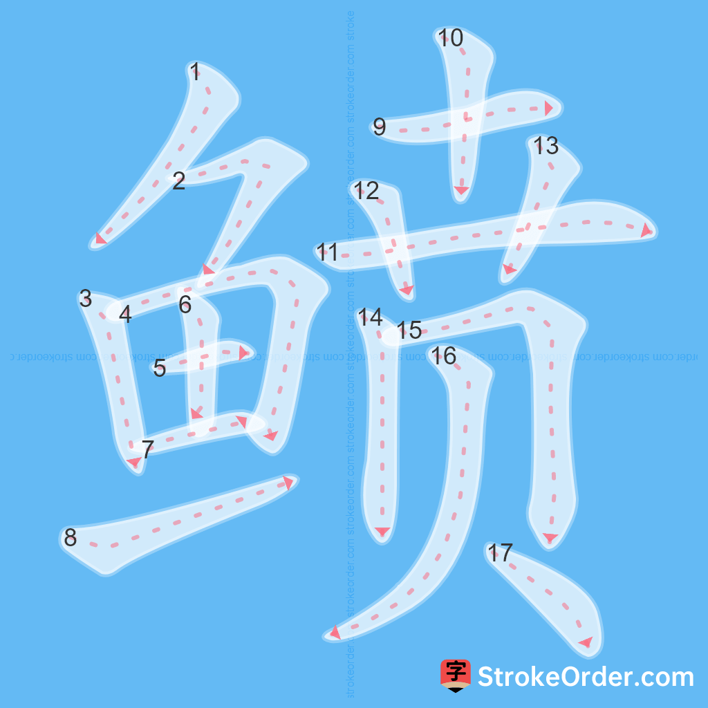 Standard stroke order for the Chinese character 鲼