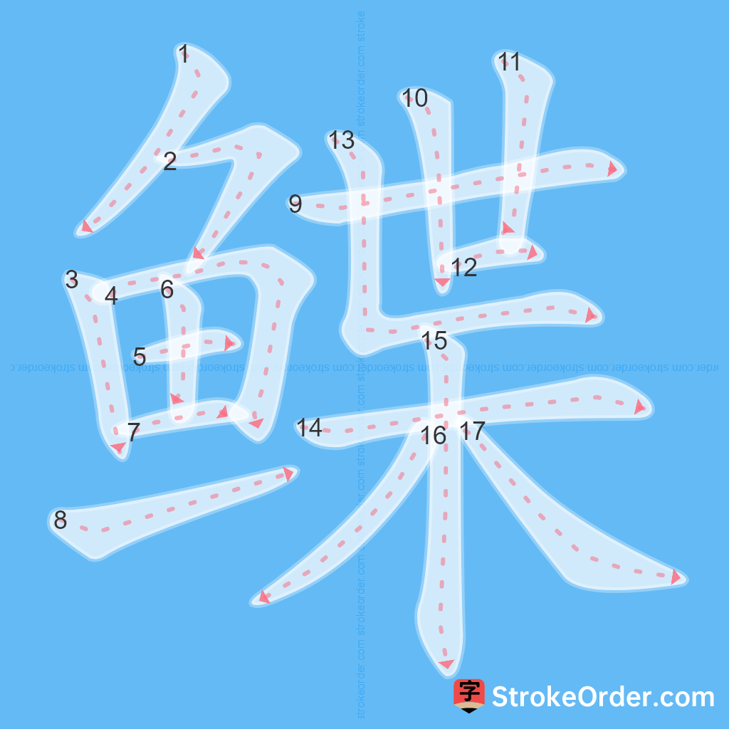 Standard stroke order for the Chinese character 鲽