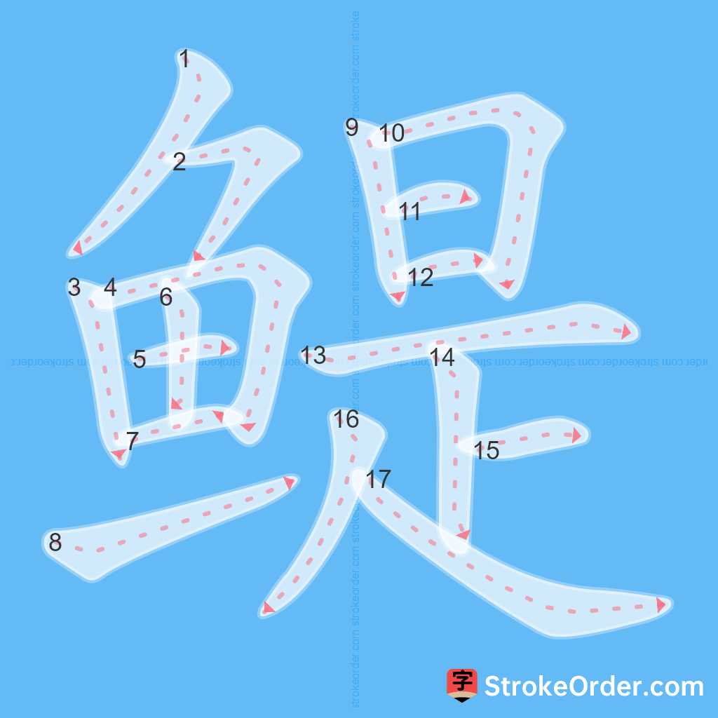 Standard stroke order for the Chinese character 鳀