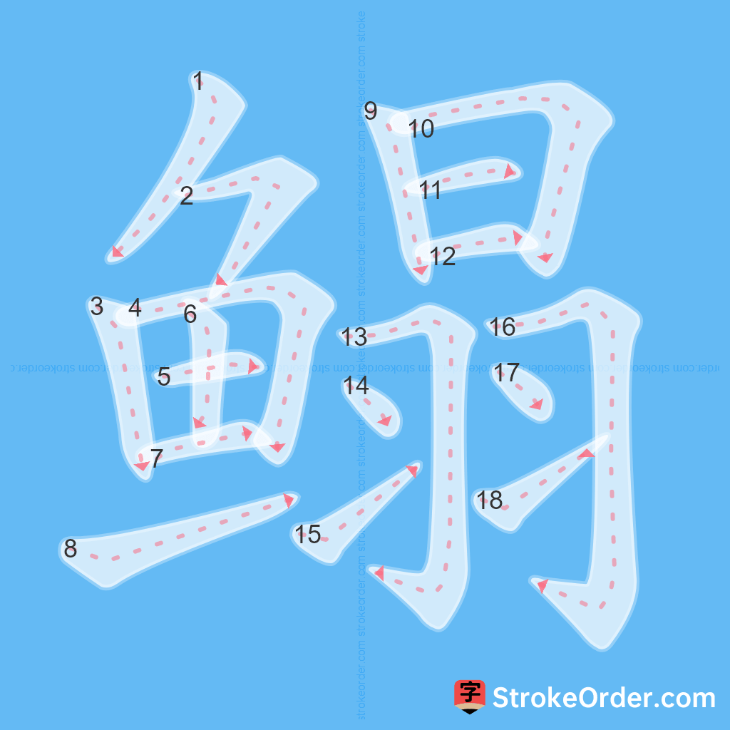 Standard stroke order for the Chinese character 鳎