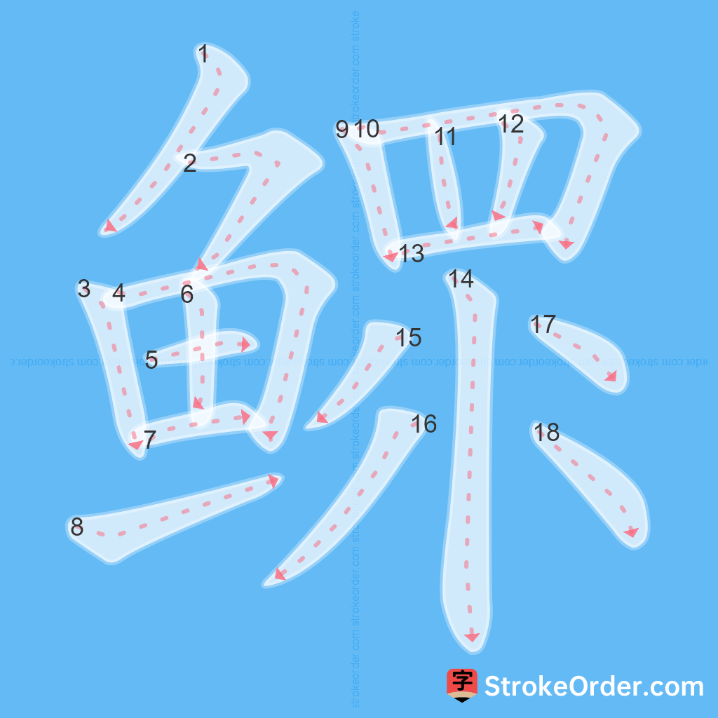 Standard stroke order for the Chinese character 鳏