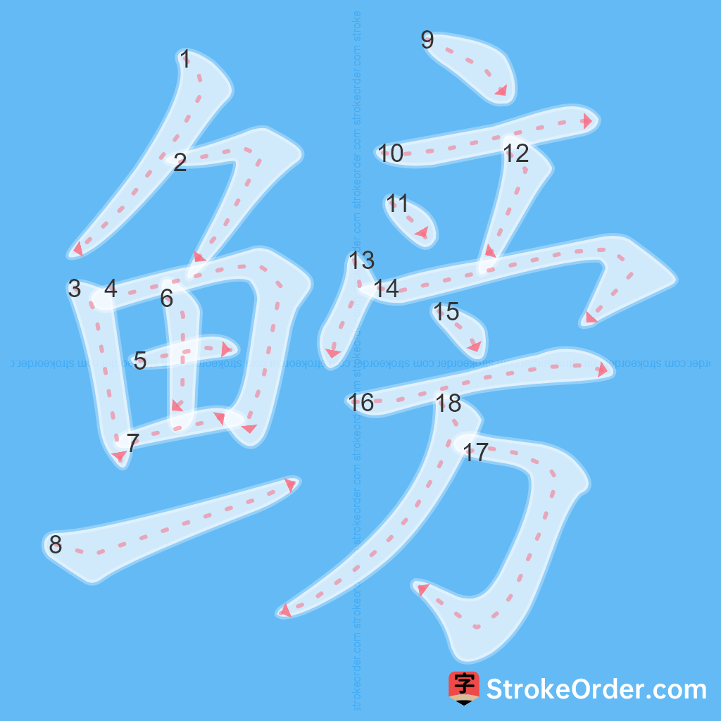 Standard stroke order for the Chinese character 鳑