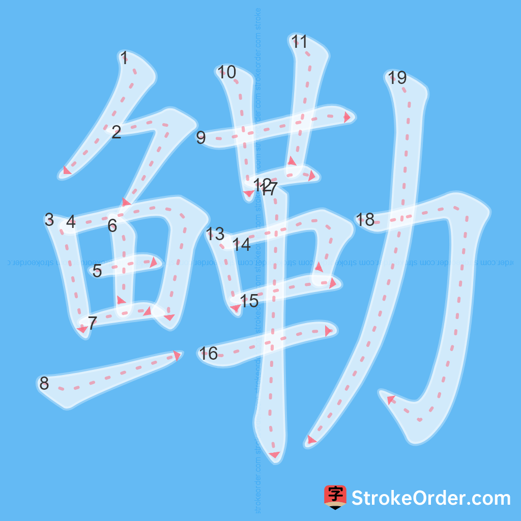 Standard stroke order for the Chinese character 鳓