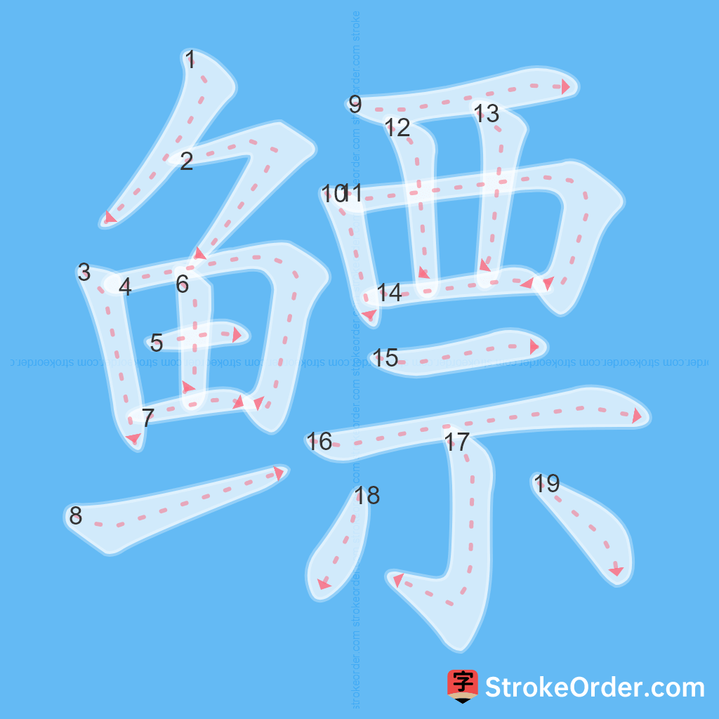 Standard stroke order for the Chinese character 鳔