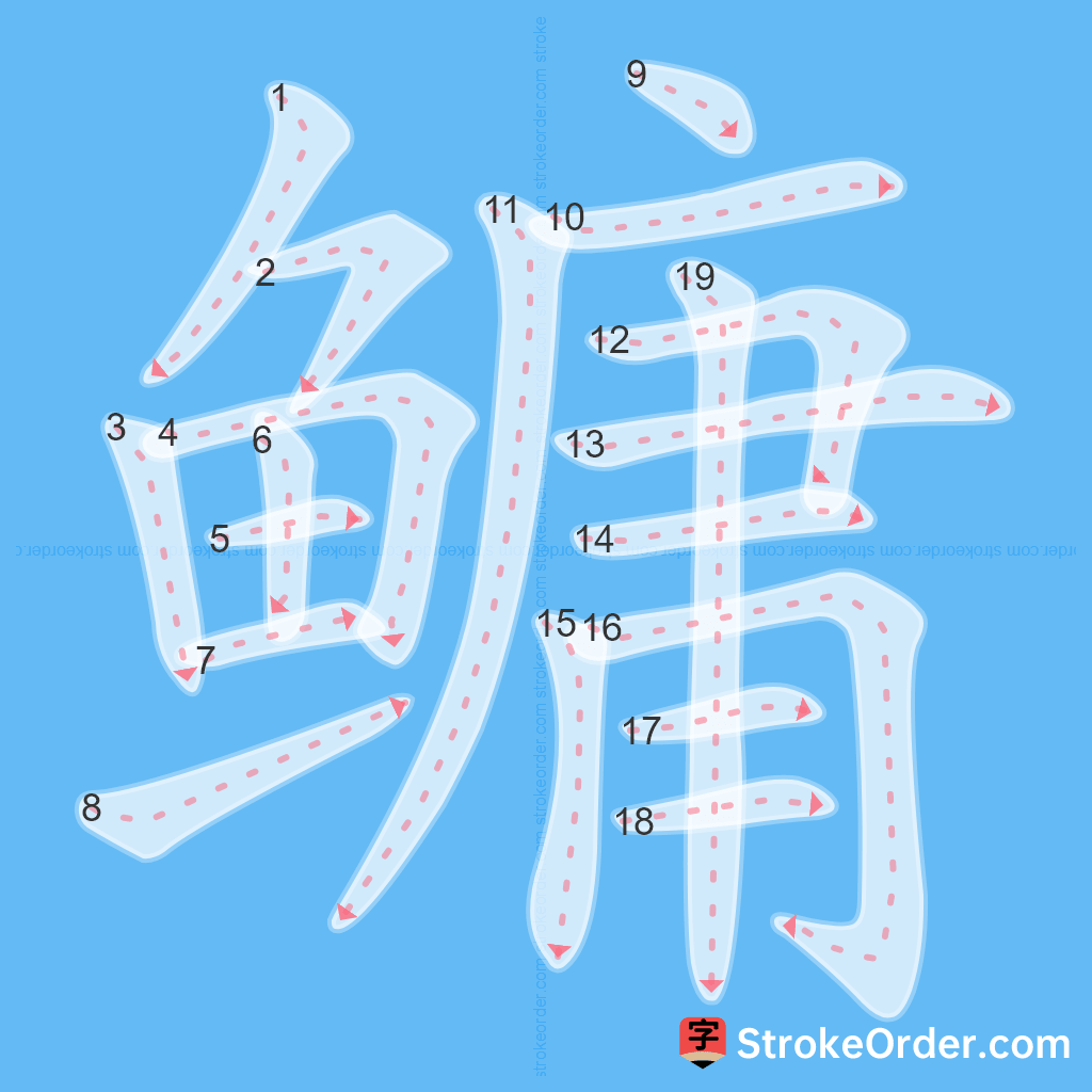 Standard stroke order for the Chinese character 鳙