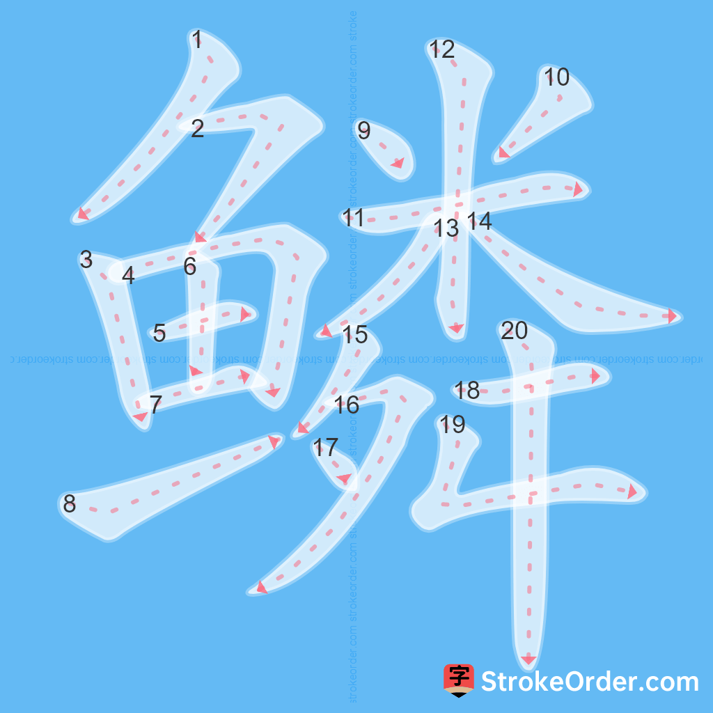 Standard stroke order for the Chinese character 鳞