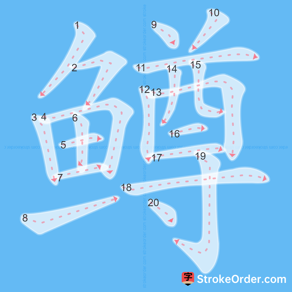 Standard stroke order for the Chinese character 鳟