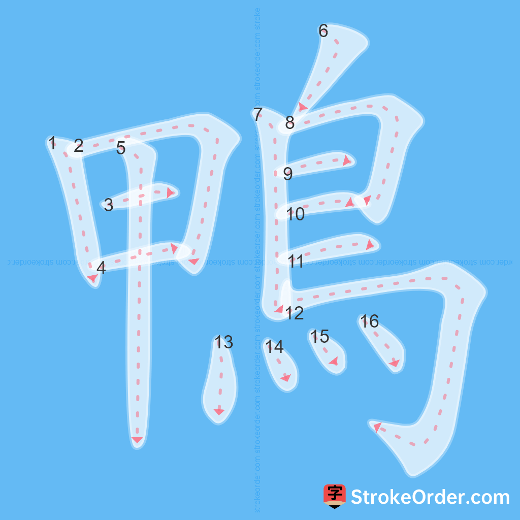 Standard stroke order for the Chinese character 鴨