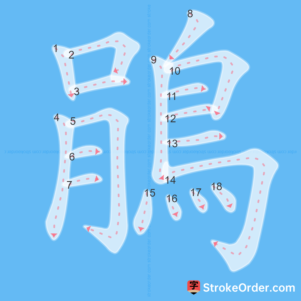 Standard stroke order for the Chinese character 鵑